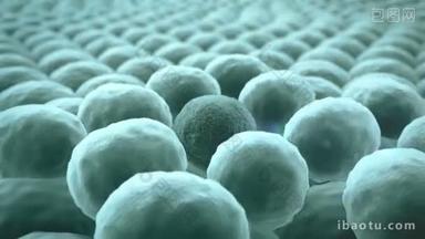细胞分裂, 细胞显微图像, 3d 渲染, 细胞